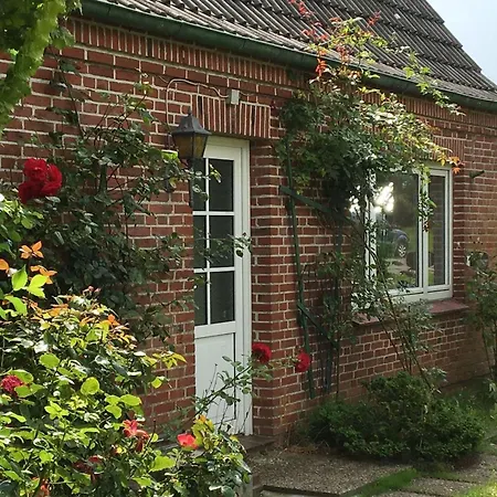 Ferienhaus Mecki-2