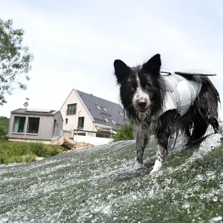Freistehendes Ferienhaus Renkenmühle näher kann man am Wasser nicht wohnen-3