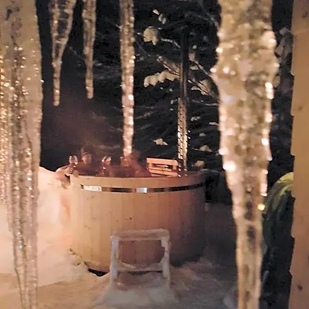 Jungholz Chalet 65-3