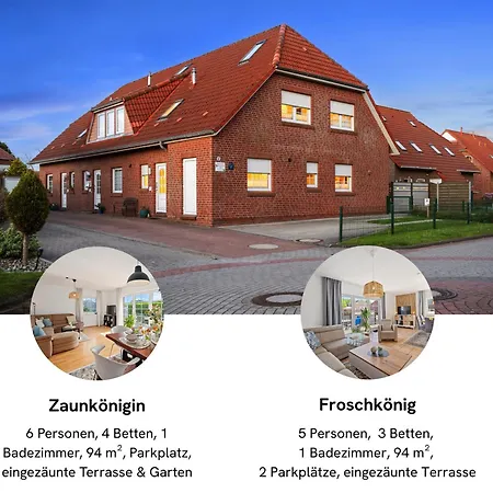 FroschKönig-3