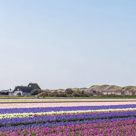Chalet Luttikduin Nr 22 - Callantsoog Aan Zee-2