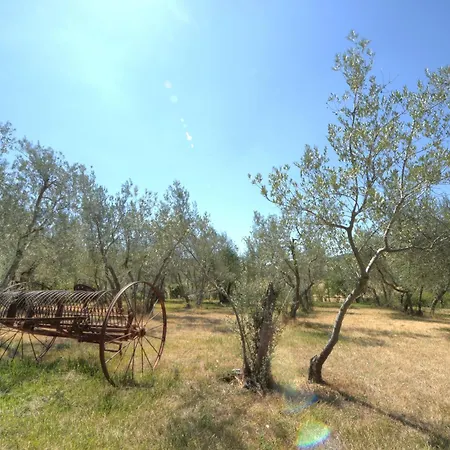 Agriturismo San Gallo-3