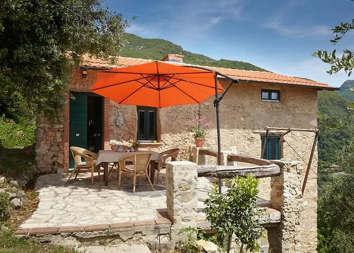Casa Berti - Urlaub im Olivenhain Camaiore