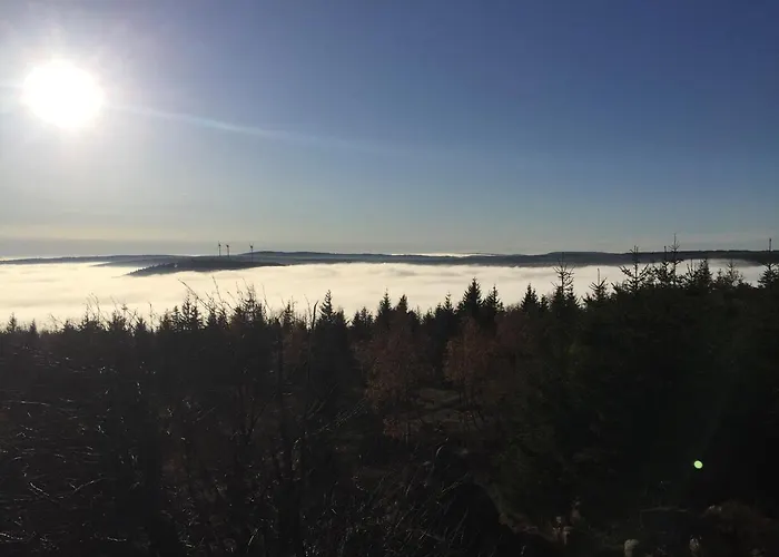 Villa Erzgebirgsholzhaus am Lugstein Altenberg 