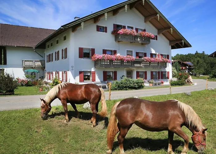 Villa Heutauer Hof Siegsdorf