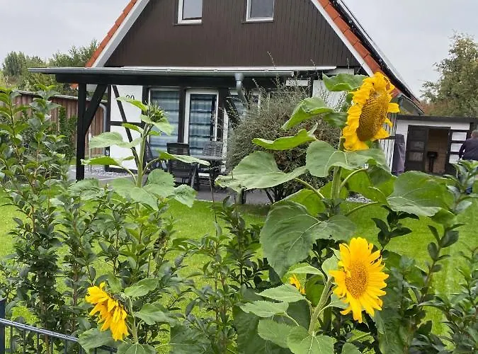 Ferienhaus Kiebitz Dorumer Neufeld