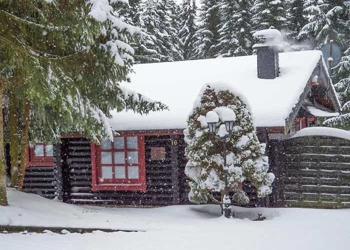 Ferienhaus Naturliebe Winterberg