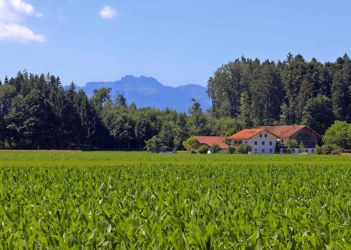 Beim Lenglacher Chieming