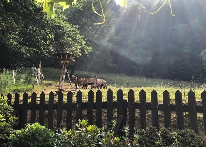 Ferienchalet Flößwehrtal Bad Lauterberg im Harz