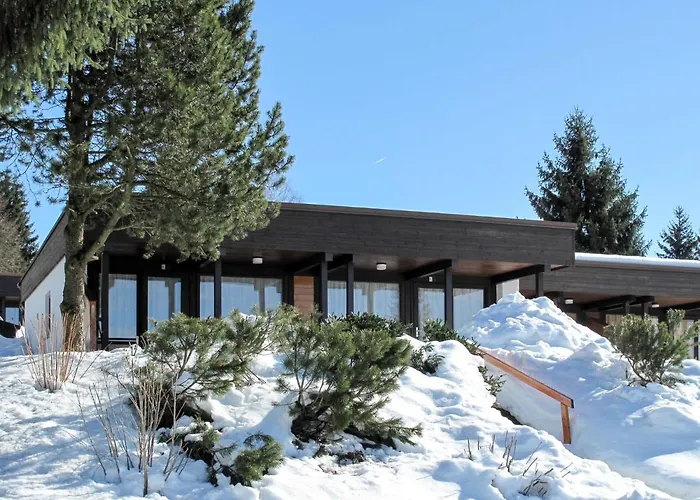 Holiday Home Jaegerwiesen - Wah104 By Interhome Waldkirchen