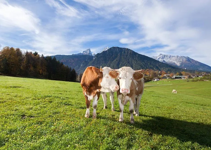 Gästehaus Untersulzberglehen Schönau am Königssee