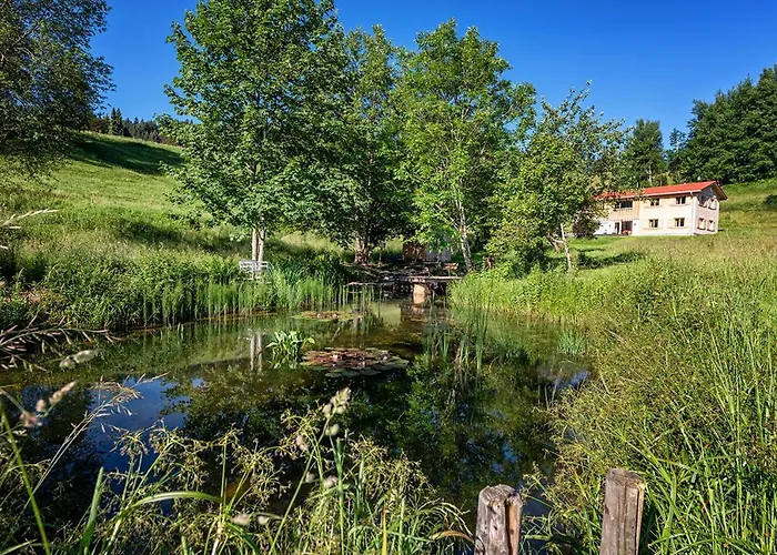 Lohansler Hütte Oberstaufen