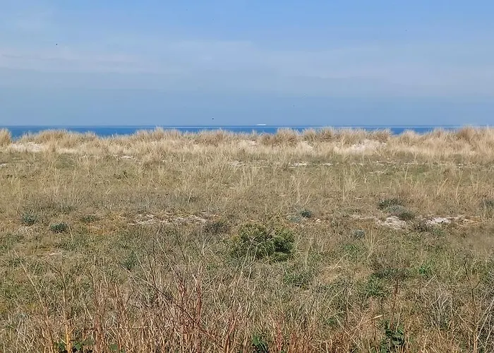 Ferienhaus Dünenhaus Dierhagen