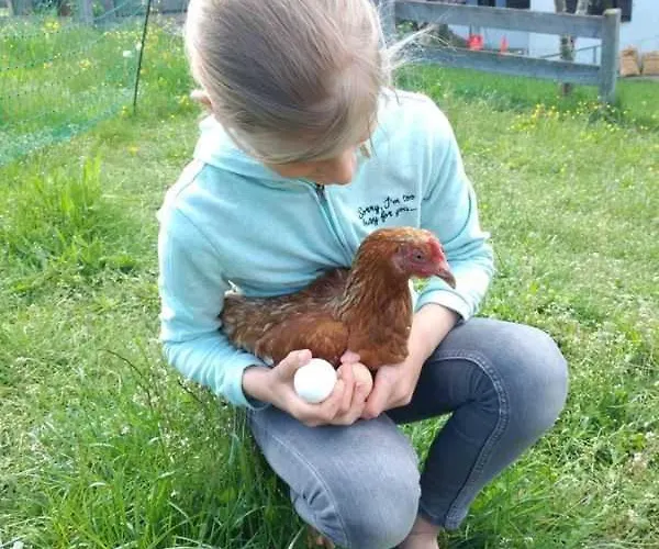 Braun-Hof Fam Mayr jun Fischbachau