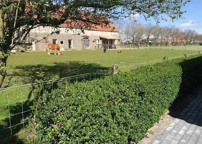 Vakantiewoningen De Schelp Renesse