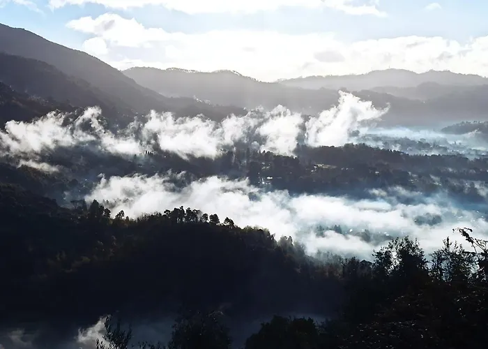 Casa Berti - Urlaub im Olivenhain Camaiore