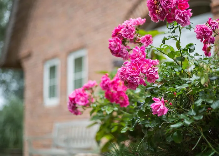 Villa Girasol Wenningstedt-Braderup