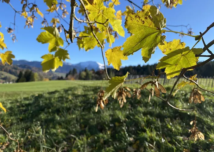 Gähwindehof Mountain Ranch Resort Oberstaufen