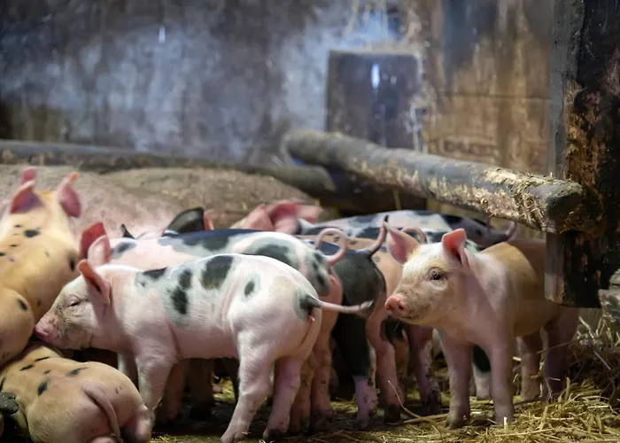 Villa Platzbon Brixen