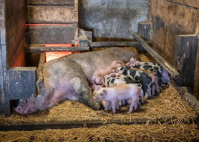 Villa Platzbon Brixen