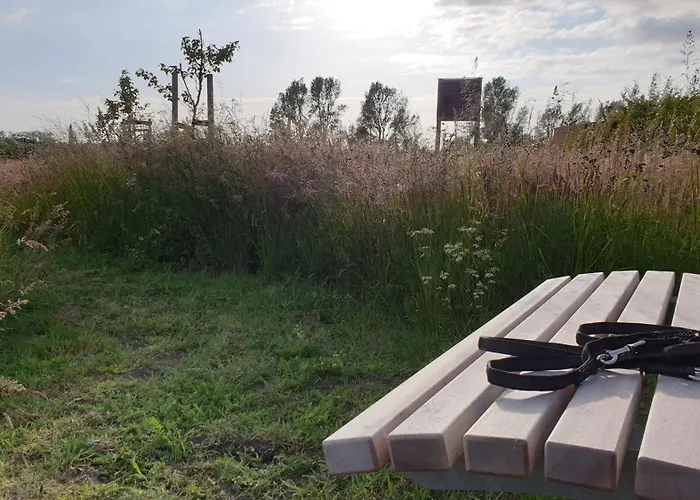 Reetdorf Geltinger Birk Künstlerkate Lagune Nieby 
