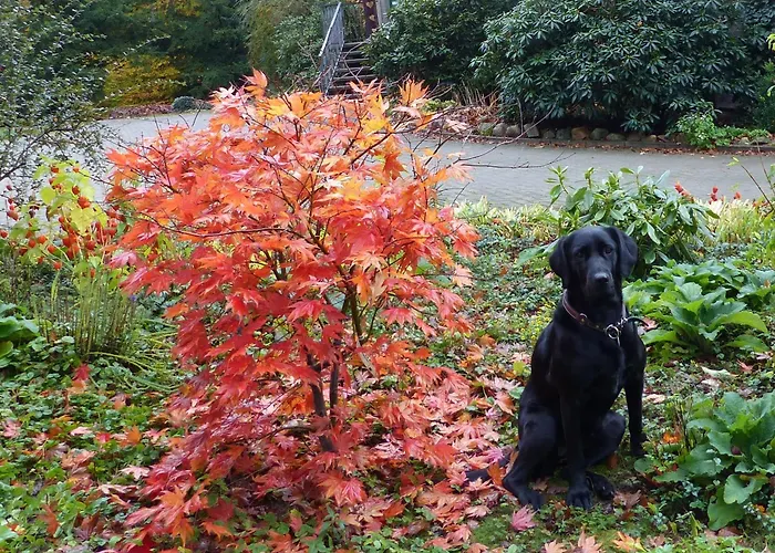 Gasthaus Forstgut Stübeckshorn Soltau