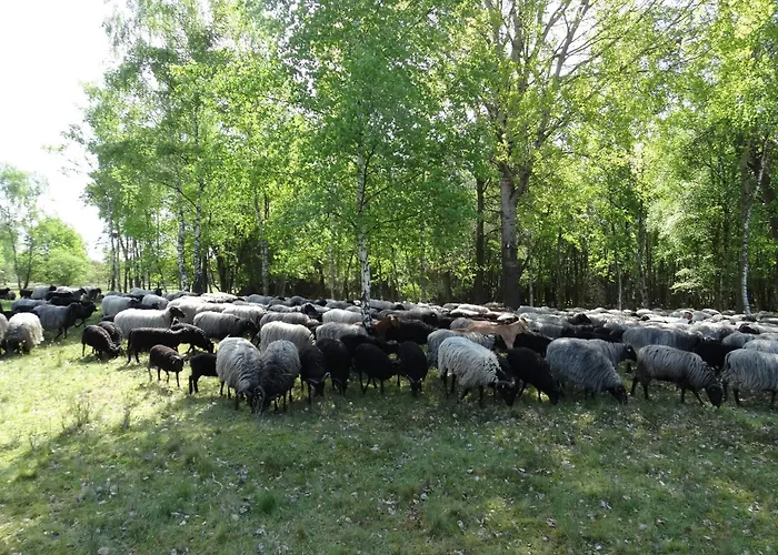 Landhaus Eichengarten Soltau
