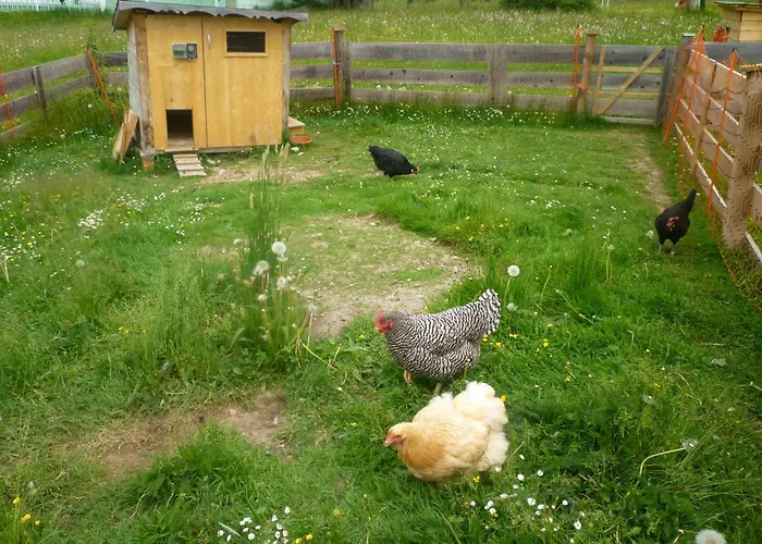 Zeiserhof Ramsau am Dachstein