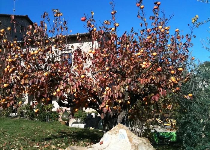 Podere Fontecastello Montepulciano Stazione
