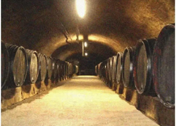 Ferienweingut Peter-Jos. Hauth Bernkastel-Kues
