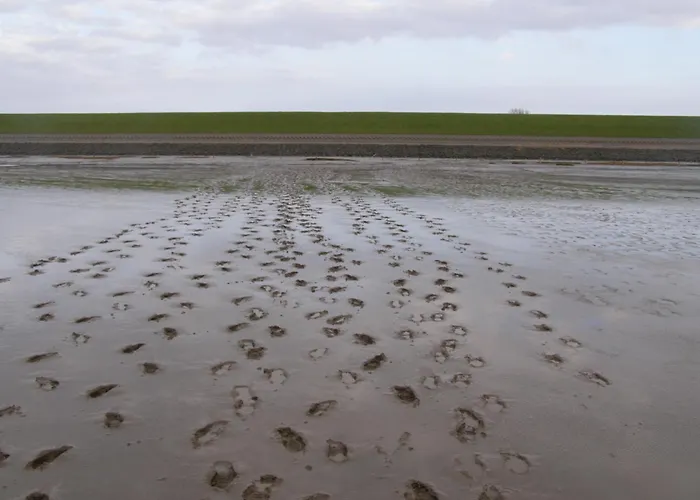 Ferienwohnung Haus Antje Norden