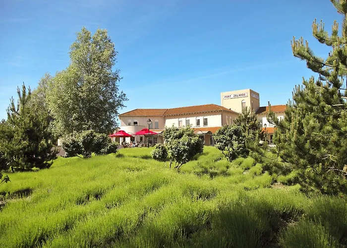 Center Parcs Port Zelande Beach Ouddorp