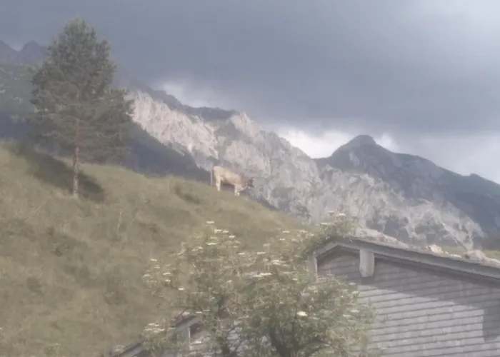 Villa Holzhaus Besler Bad Hindelang