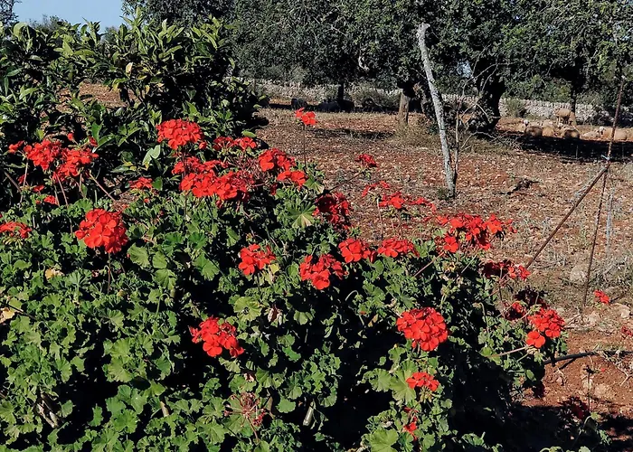 Finca Son Marimon - Adults Only Santanyí
