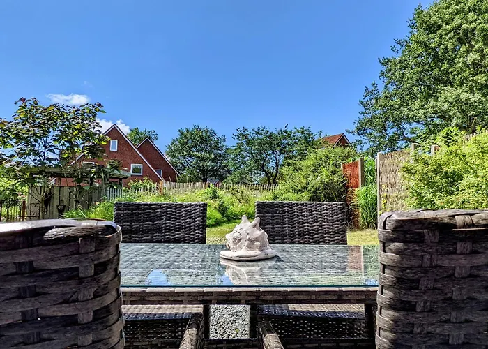 Kleine Lachmöwe Sankt Peter-Ording