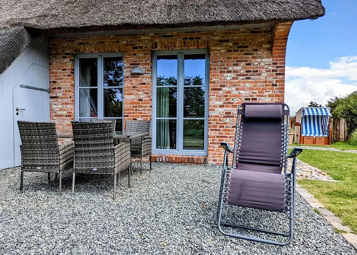 Kleine Lachmöwe Sankt Peter-Ording