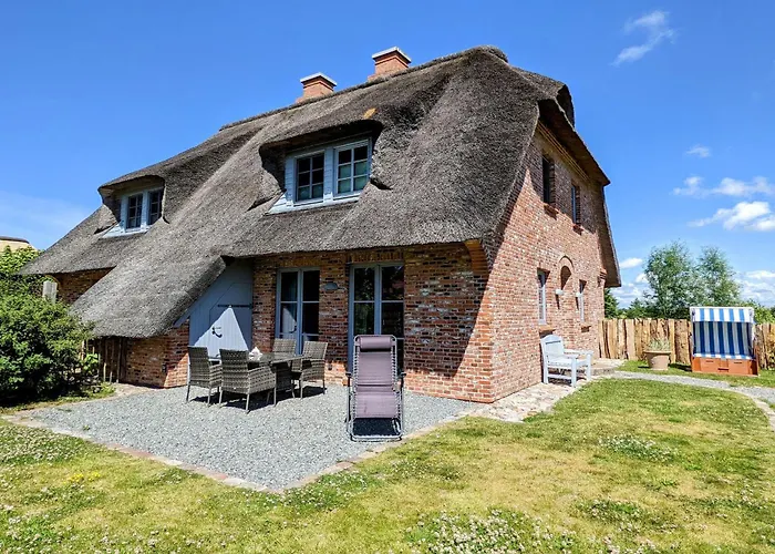 Kleine Lachmöwe Sankt Peter-Ording