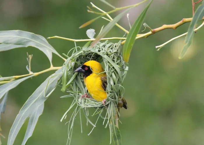 Villa Little Stream Farm Kapstadt
