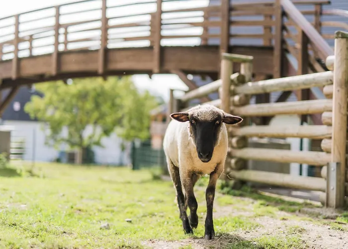 Villa Hof Köhne - Haus an der Weide rechts Schmallenberg