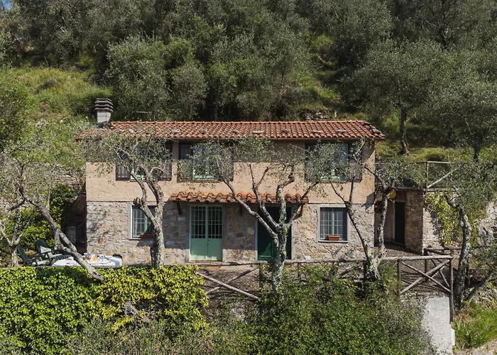 Holiday Home La Capannella By Interhome Camaiore