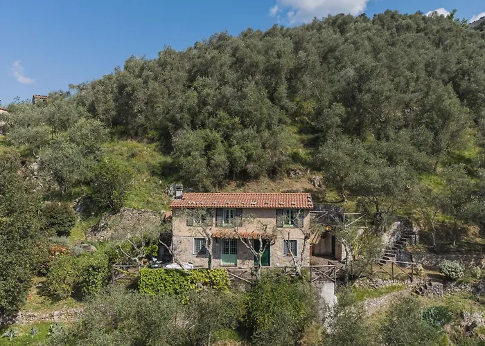 Holiday Home La Capannella By Interhome Camaiore