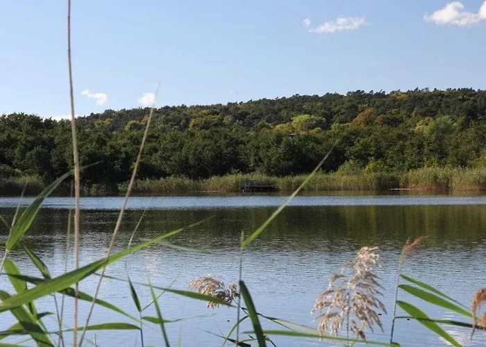 Beach Residence 1 10 Else Marie Ostseebad Heringsdorf