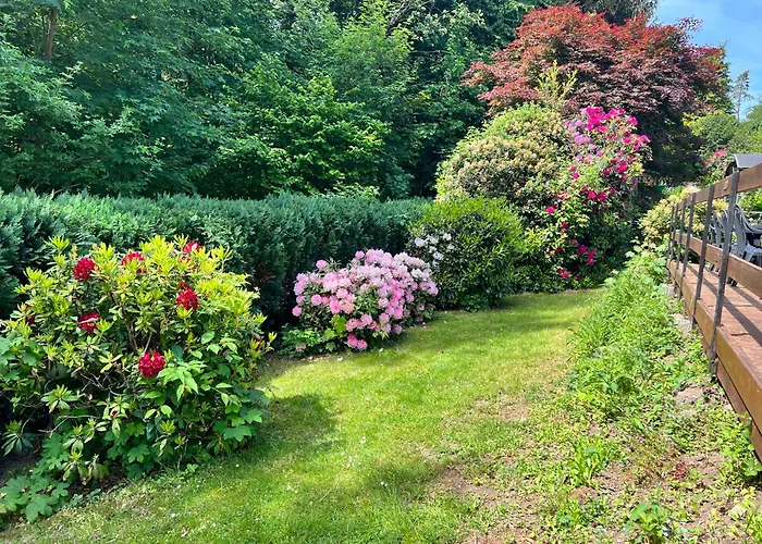 Villa Gruppenhaus bis 30 Personen im Südharz Bad Sachsa