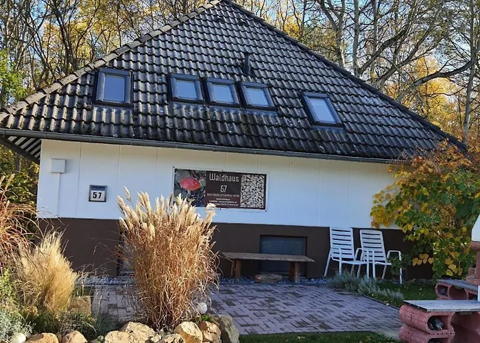 Waldhaus 57 Ferienhaus Ferienpark Silbersee Hessen 2-6 Personen Hund erlaubt Wald See Frielendorf