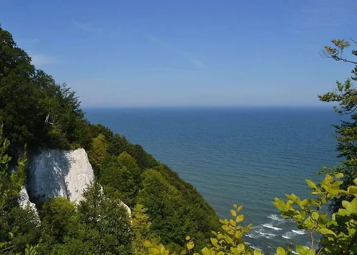 "Albert" In The Villa Eckhart Goehren 
