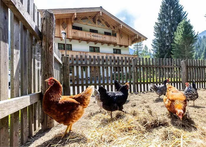 Pension Walchauhof Flachau