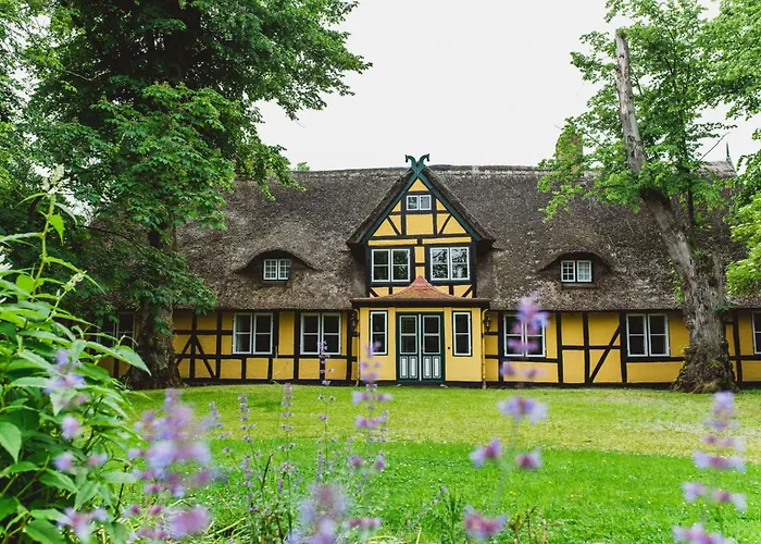 Herrenhaus Gut Dorotheenthal Damp