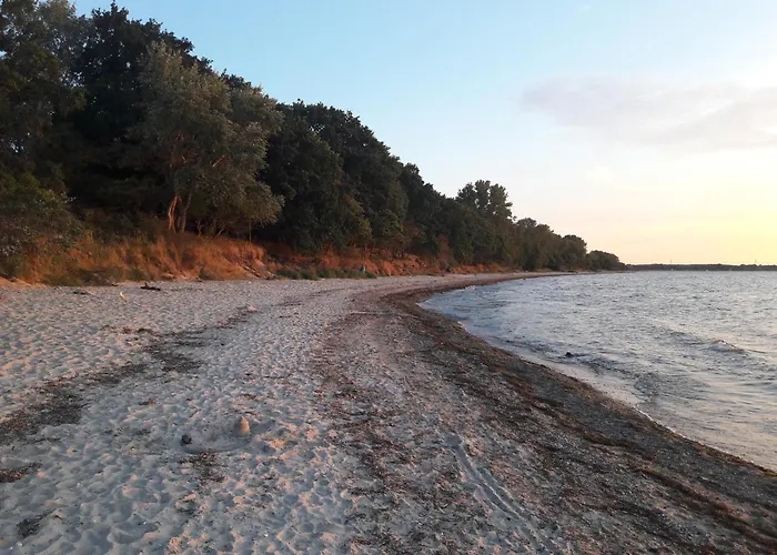 Seelust Groß Schwansee