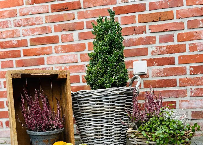 Villa Haus Deichkind Krummhörn