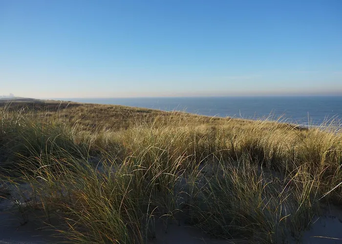 Nice House With Large Garden In Noordwijk And Near The Sea